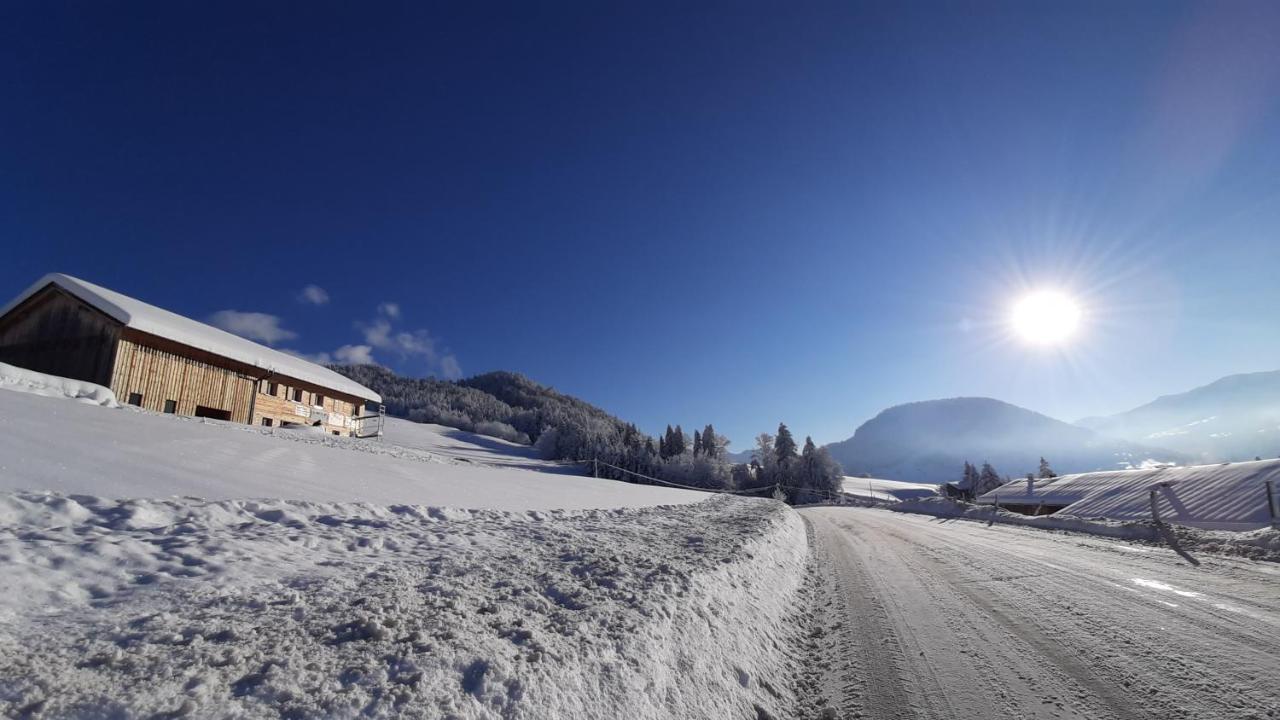Ferienwohnung Schoenenbuehl Hittisau Esterno foto